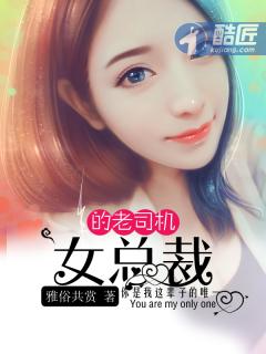 女总裁爱小司机