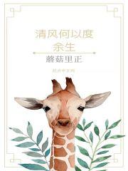 清风不渡