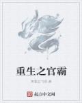 重生之官道阅读 免费