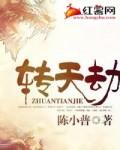 转天劫游戏