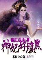 神王的宠妃d