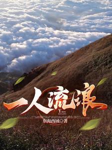 关于一人流浪的句子