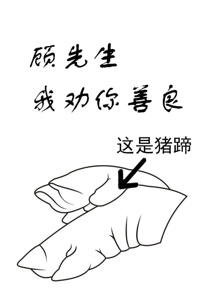顾先生我劝你善良书包网