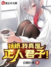 我是正人君子头像