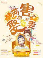 两害相权娶为妻免费阅读
