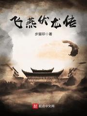 飞燕惊龙12集